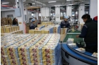 吒系列卡牌热卖国潮跨界玩出新高度开元ky
